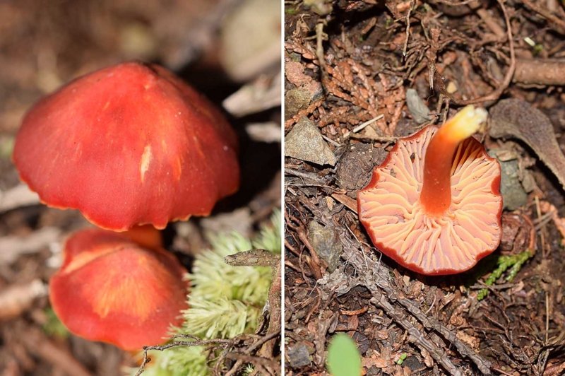 f:id:hiro1216:20160515180314j:image