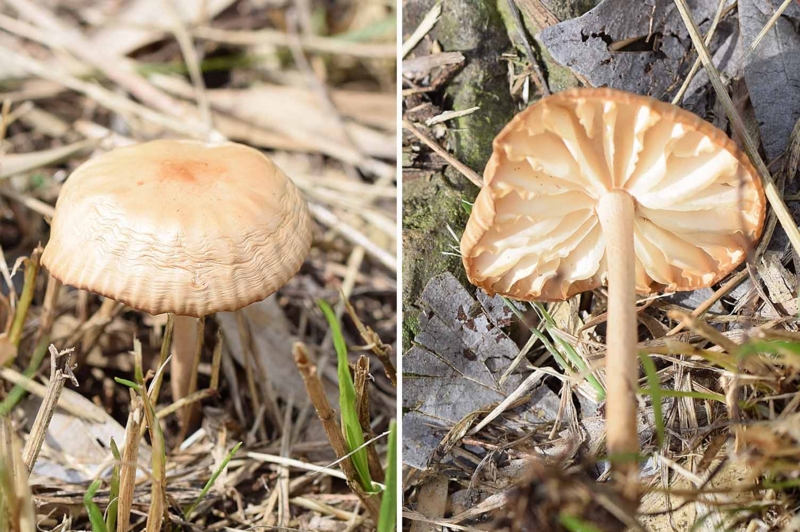 f:id:hiro1216:20160627103345j:image