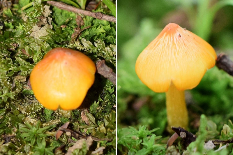 f:id:hiro1216:20160714215541j:image