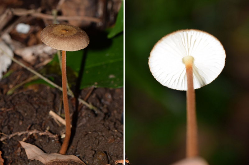 f:id:hiro1216:20160923195558j:image