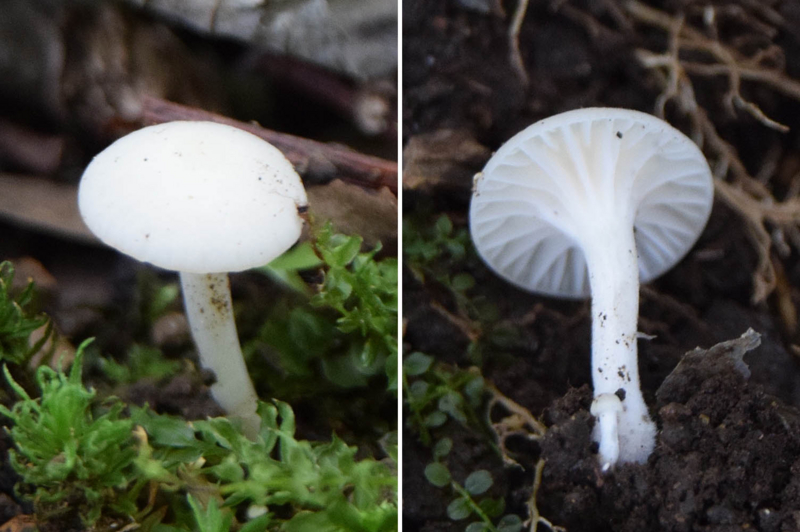 f:id:hiro1216:20161012193936j:image