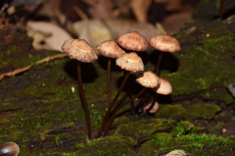 f:id:hiro1216:20161022120825j:image