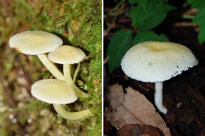 f:id:hiro1216:20161027231000j:image