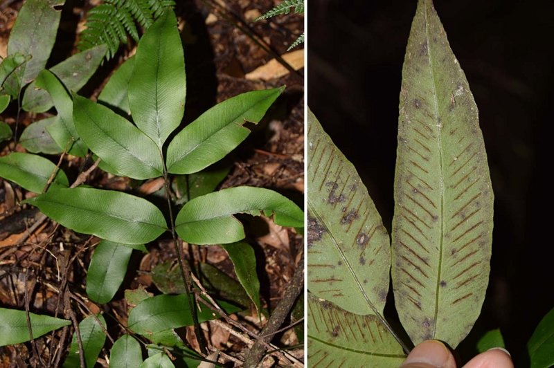 f:id:hiro1216:20161223100733j:image