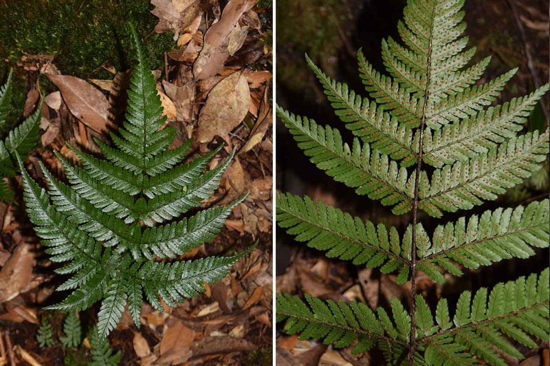 f:id:hiro1216:20170118090602j:image