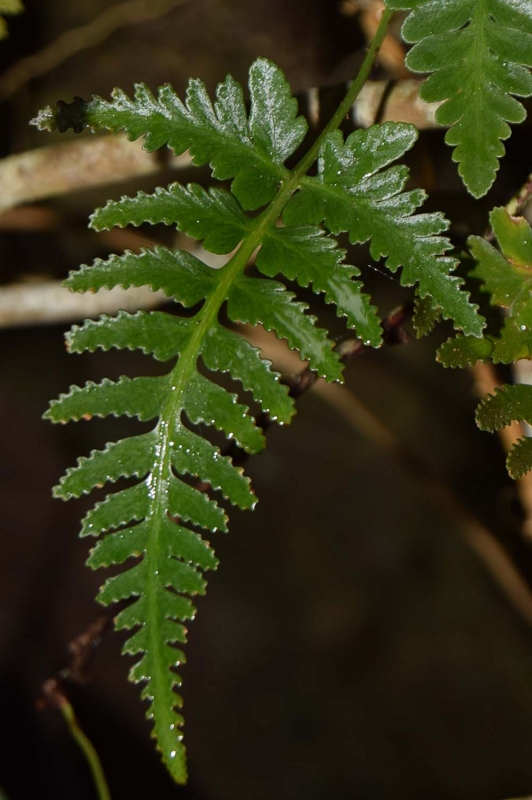 f:id:hiro1216:20170120084926j:image:w640