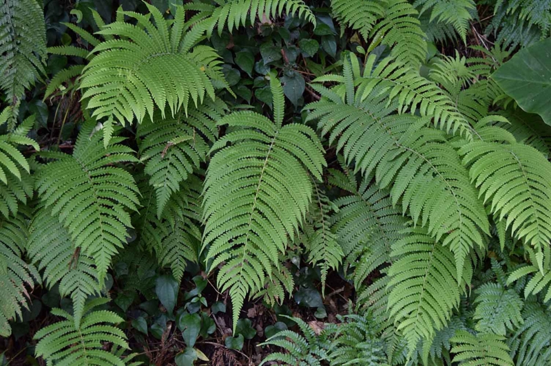 f:id:hiro1216:20170122194852j:image