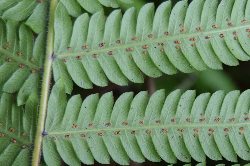 f:id:hiro1216:20170122194928j:image