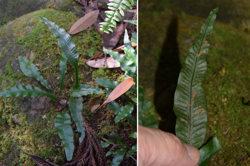 f:id:hiro1216:20170123152155j:image