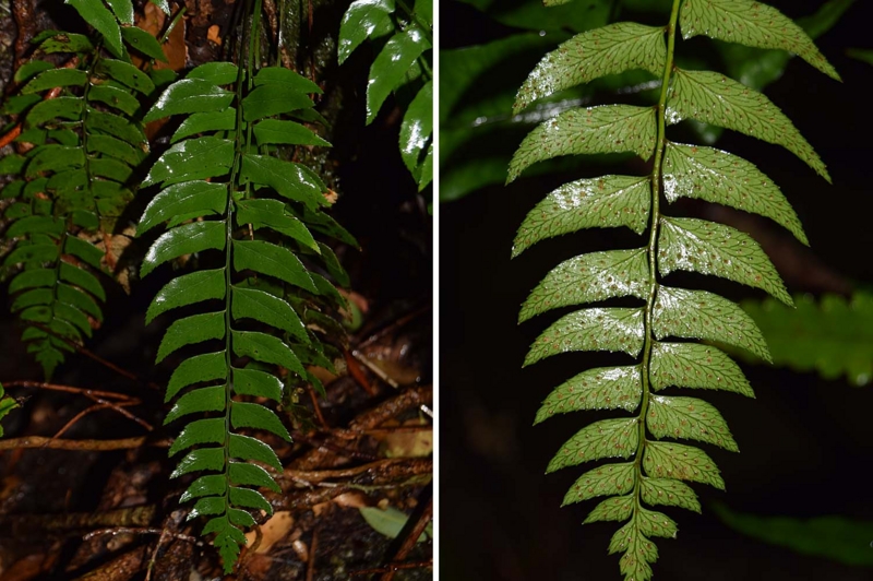 f:id:hiro1216:20170124121129j:image