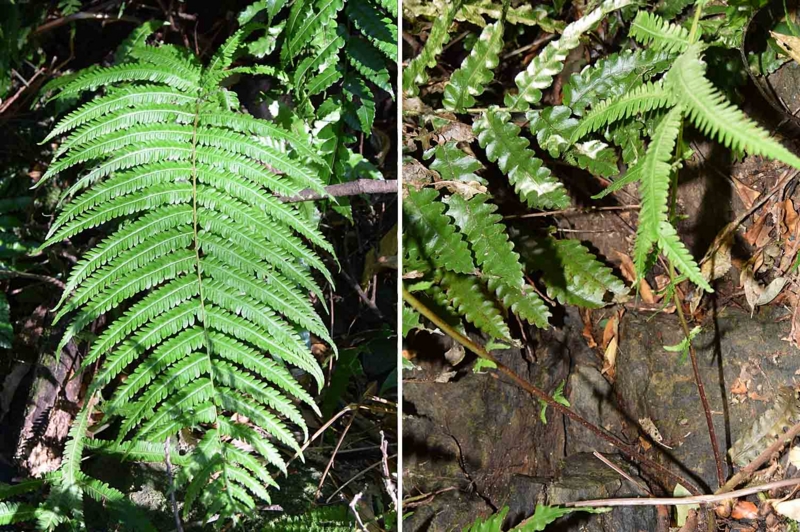 f:id:hiro1216:20170125190204j:image