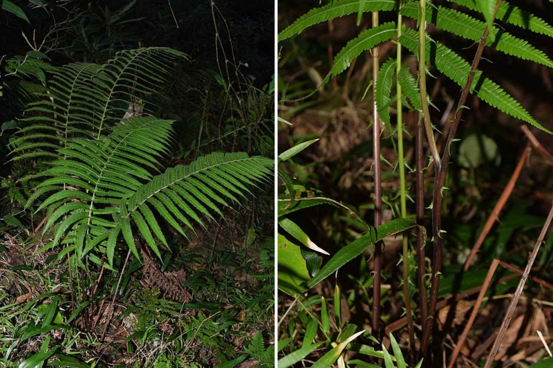 f:id:hiro1216:20170129153341j:image