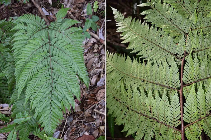 f:id:hiro1216:20170210115450j:image