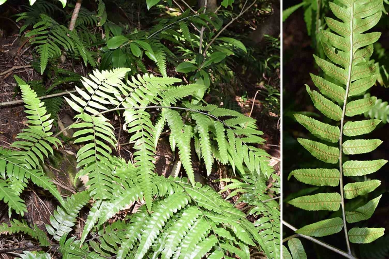 f:id:hiro1216:20170224223351j:image