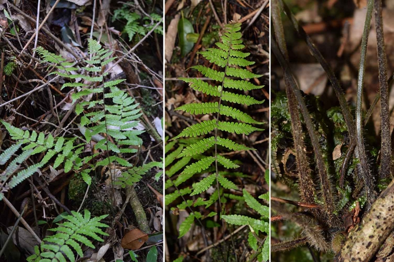 f:id:hiro1216:20170305095222j:image