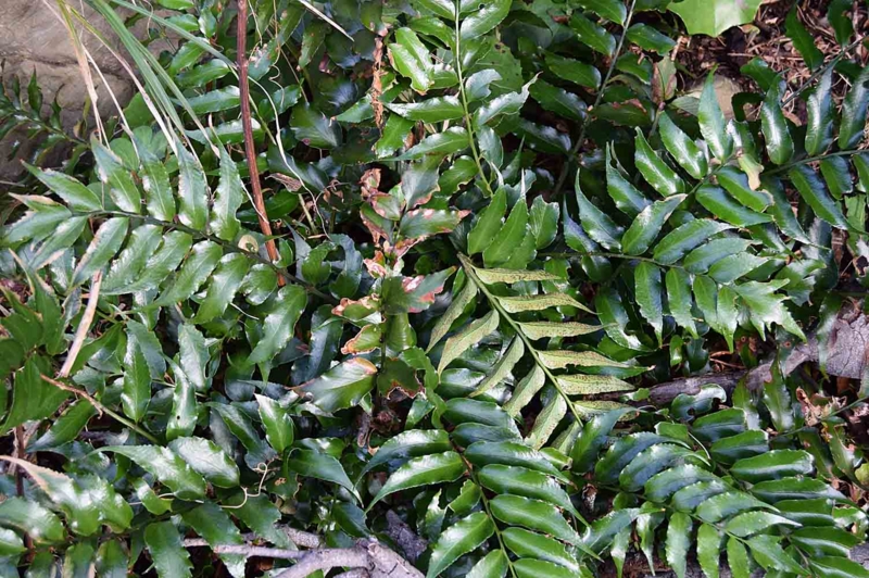 f:id:hiro1216:20170306133326j:image