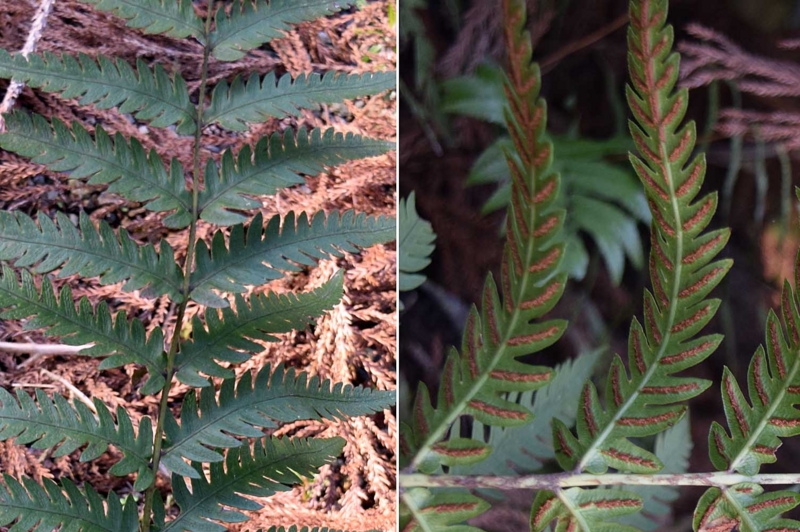 f:id:hiro1216:20170312210504j:image