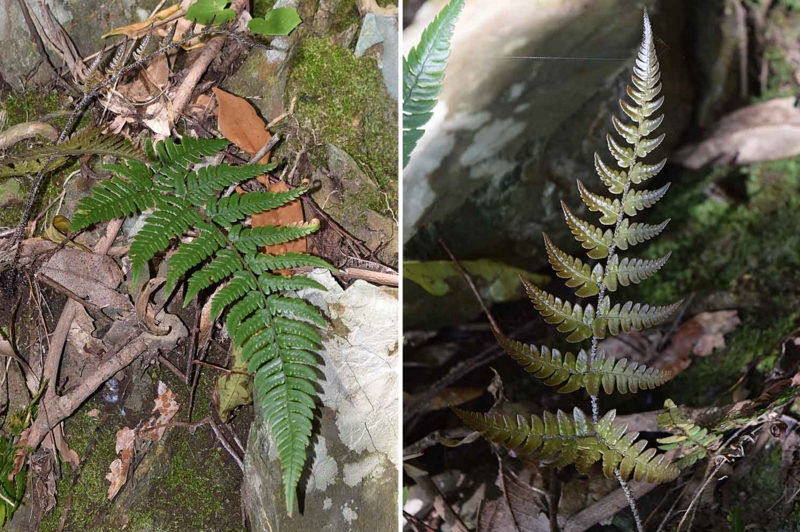 f:id:hiro1216:20170416104439j:image