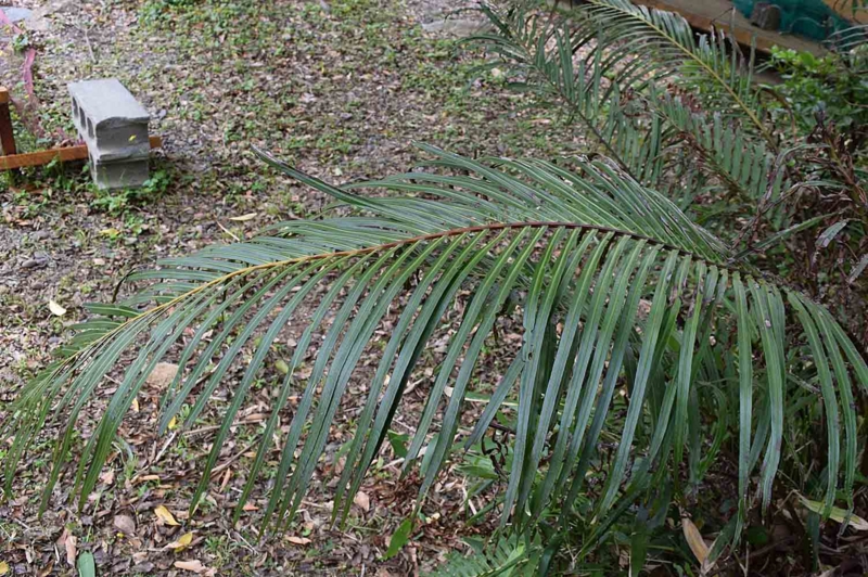 f:id:hiro1216:20170425224354j:image