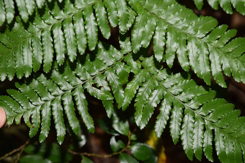 f:id:hiro1216:20170523195709j:image