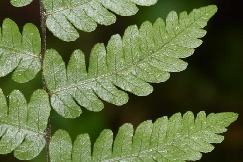 f:id:hiro1216:20170531093200j:image