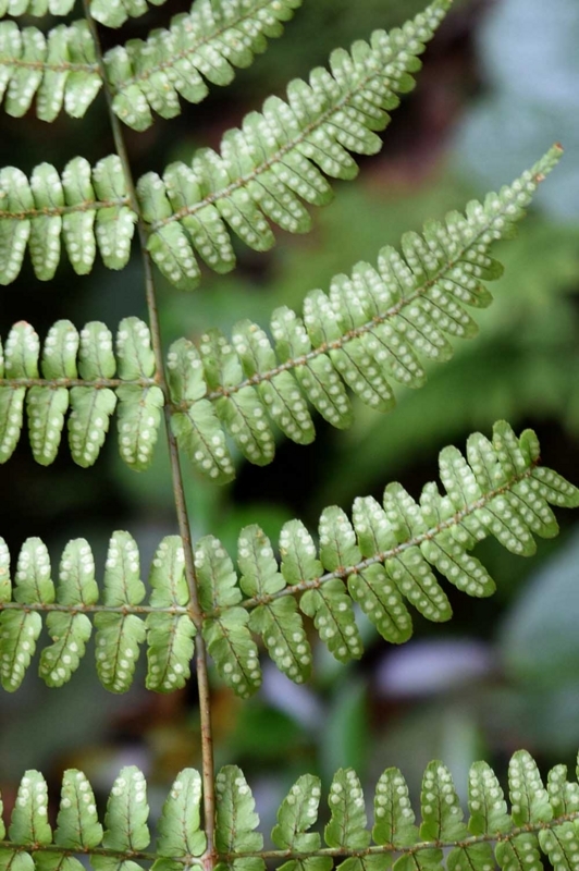 f:id:hiro1216:20170603181949j:image:w640