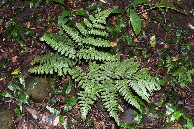 f:id:hiro1216:20170815145353j:image