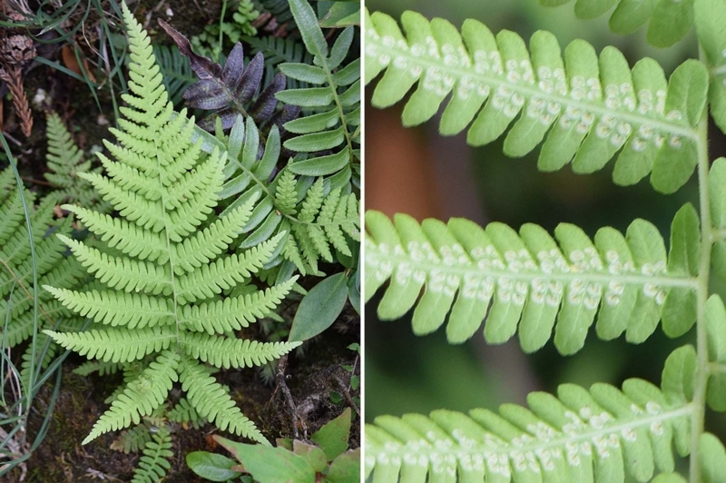 f:id:hiro1216:20170815211136j:image