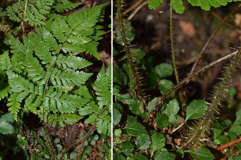 f:id:hiro1216:20170823090742j:image