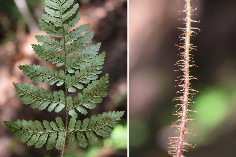 f:id:hiro1216:20170823090844j:image