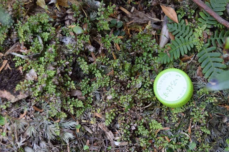 f:id:hiro1216:20170905154943j:image