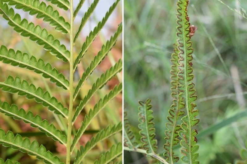 f:id:hiro1216:20171013155631j:image