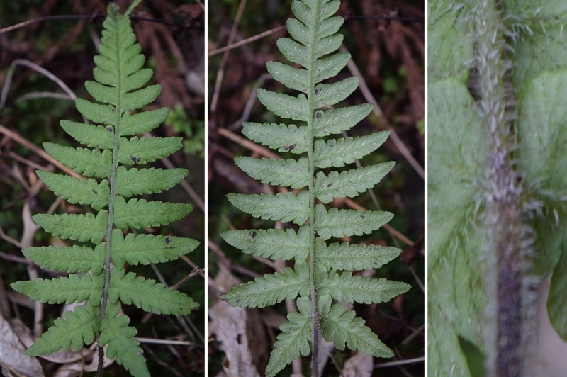 f:id:hiro1216:20171127080505j:image