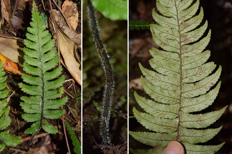 f:id:hiro1216:20171223203431j:image