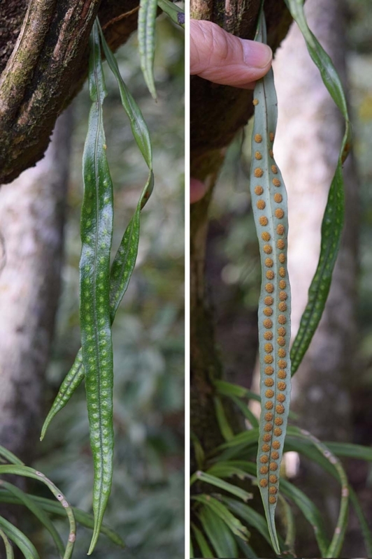 f:id:hiro1216:20180415214018j:image:w640