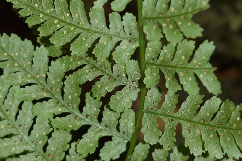 f:id:hiro1216:20180712142426j:image