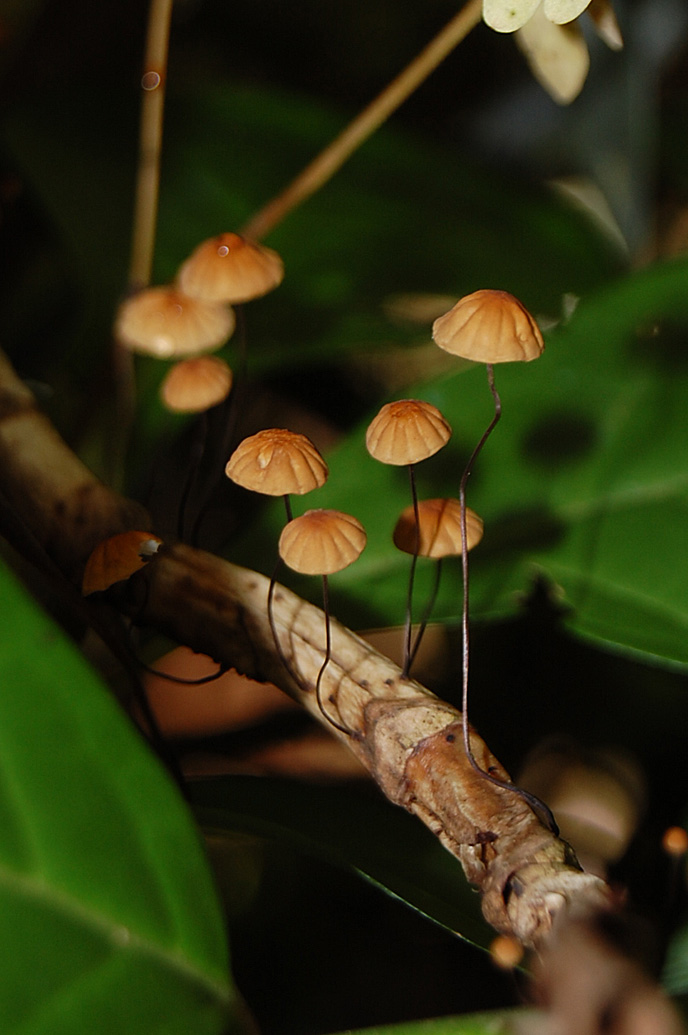 f:id:hiro1216:20201121131239j:plain:w360