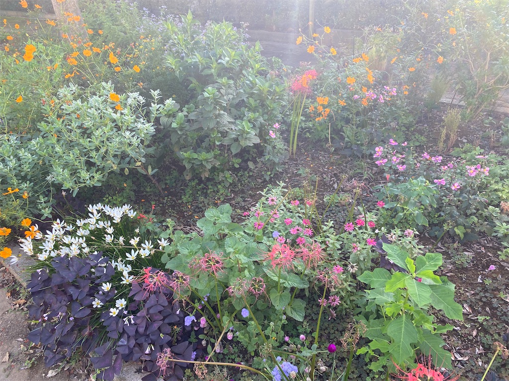 f:id:hiro146:20220928091332j:image f:id:hiro146:20220928091332j:image