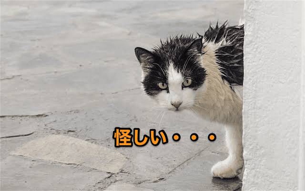 f:id:hiro14kunn:20200616232852j:image f:id:hiro14kunn:20200616232852j:image