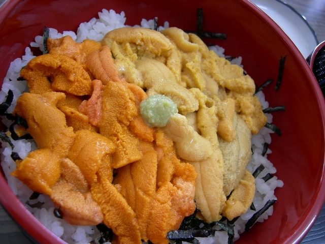 f:id:hiro1578:20100806220729j:image