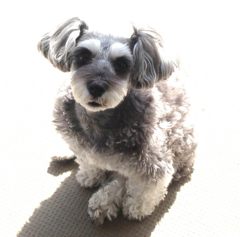 f:id:hiro1959:20160308135216j:image