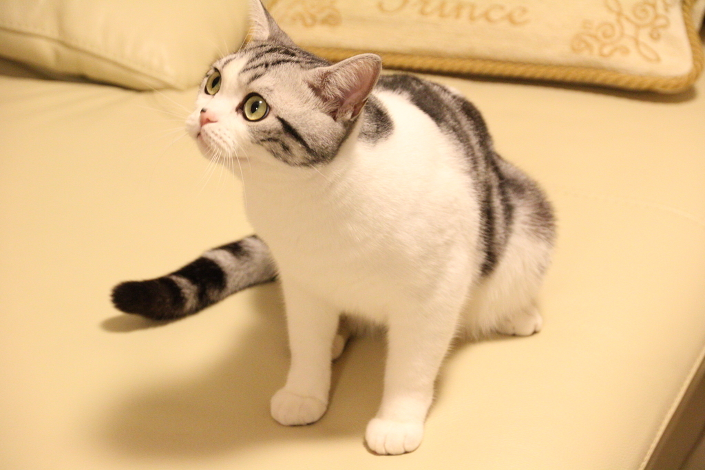 f:id:hiro19730730:20180912195117j:plain