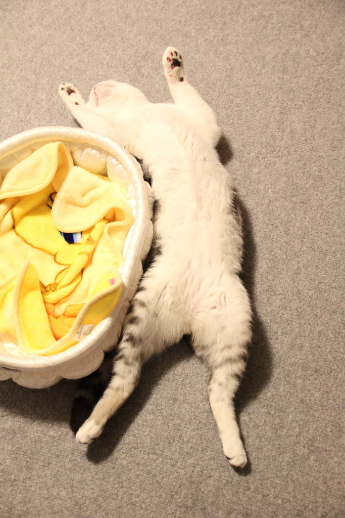 f:id:hiro19730730:20180912195149j:plain