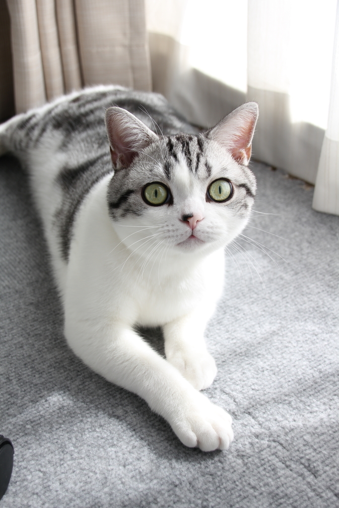 f:id:hiro19730730:20180912195236j:plain