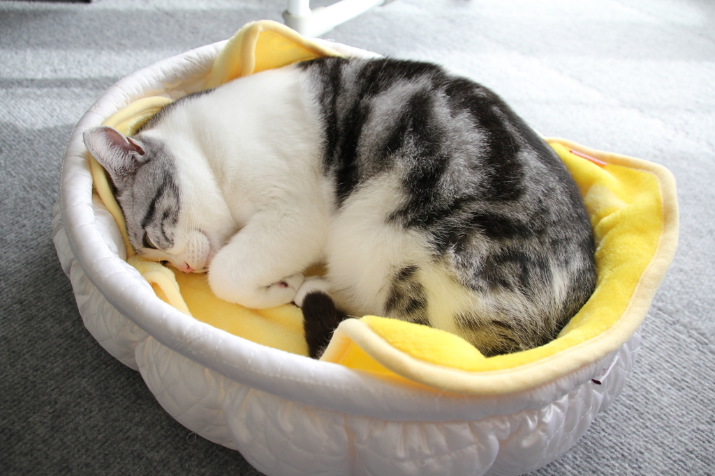 f:id:hiro19730730:20180912195329j:plain