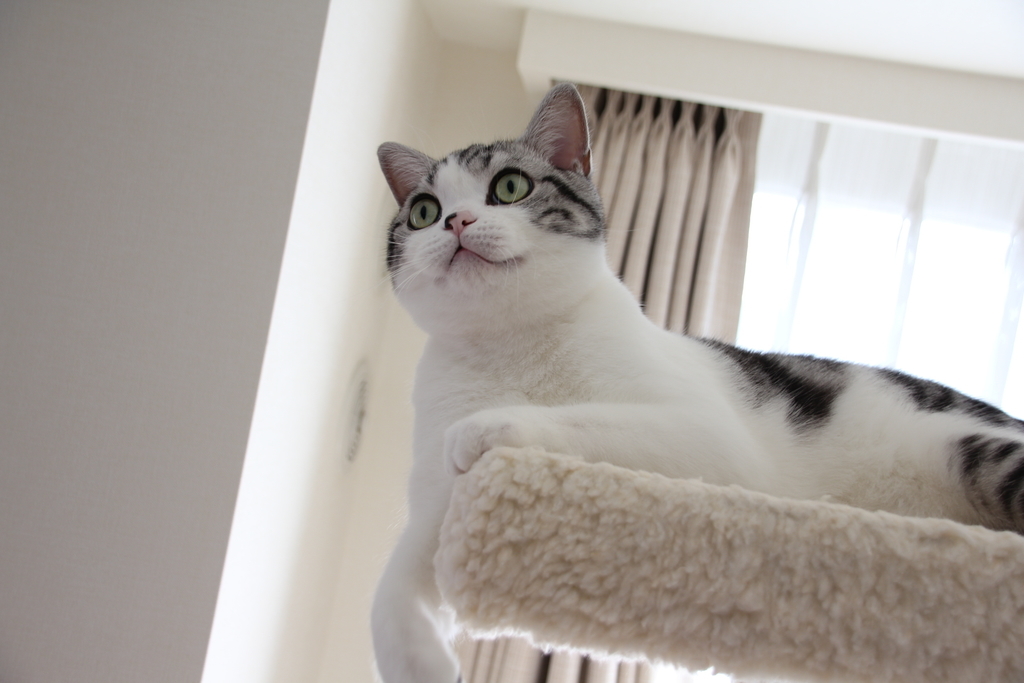 f:id:hiro19730730:20190116115623j:plain