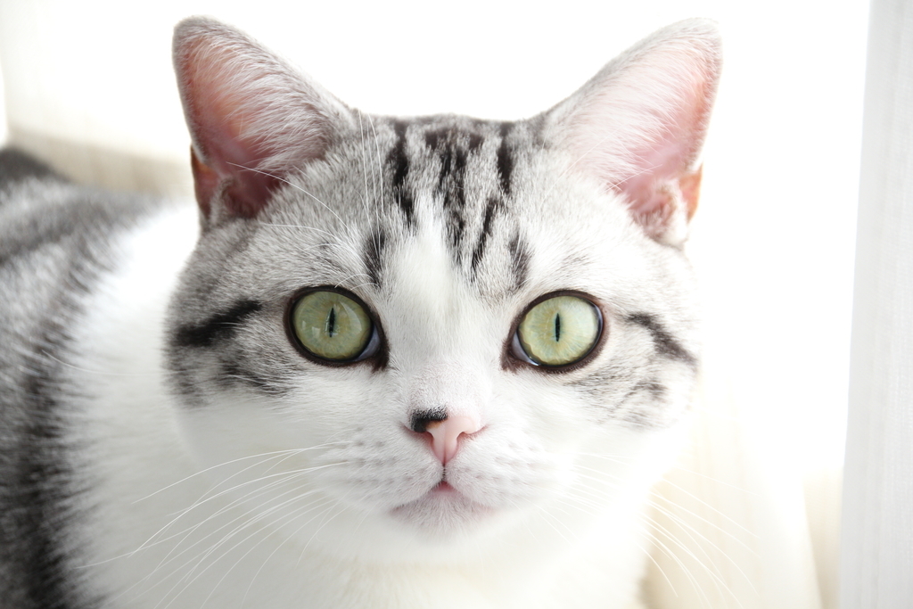 f:id:hiro19730730:20190128163937j:plain