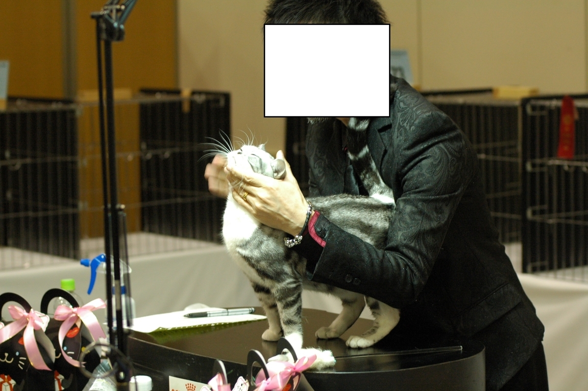 f:id:hiro19730730:20190531121029j:plain