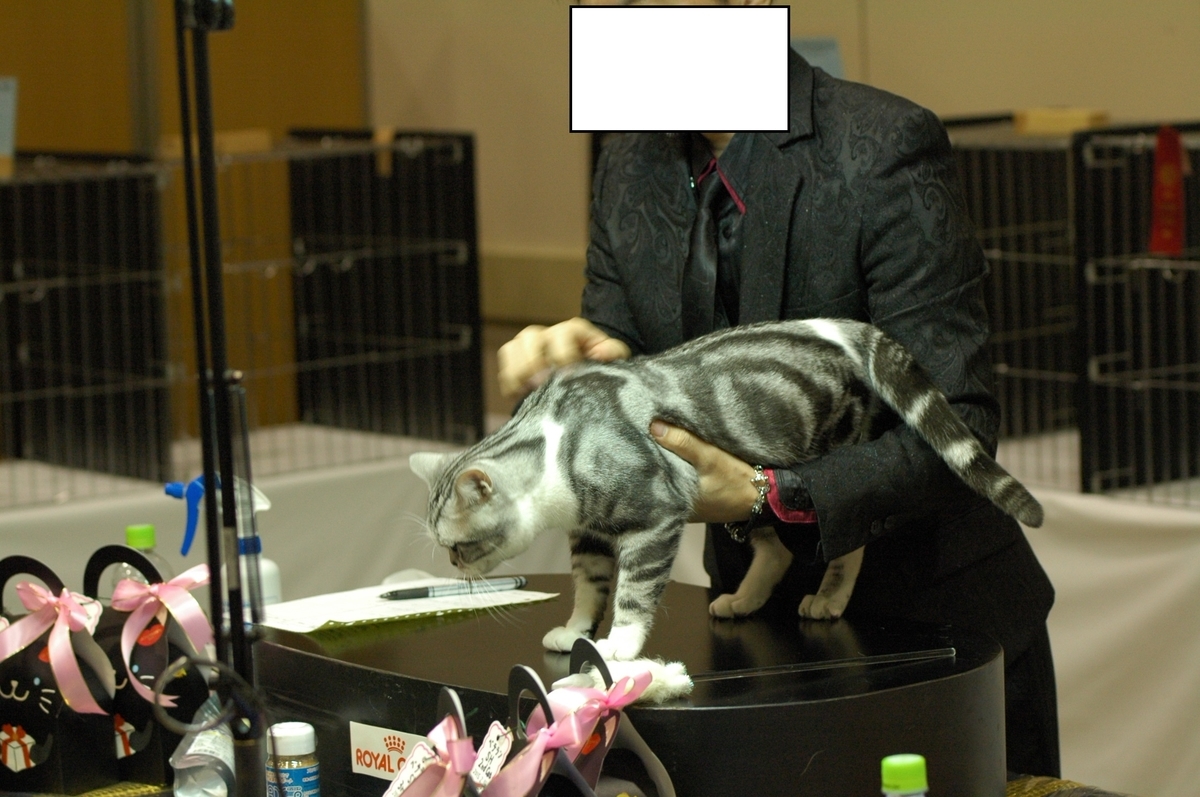 f:id:hiro19730730:20190531121038j:plain