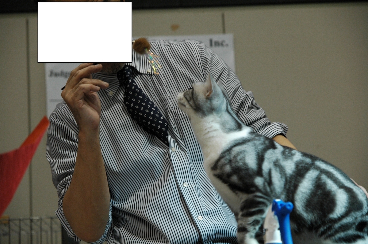 f:id:hiro19730730:20190531121104j:plain